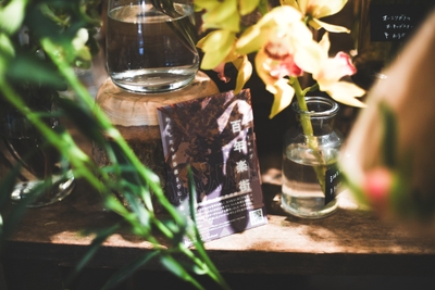 fe8YzohjTjJDno1hDKqz.jpg?w=940&h=940