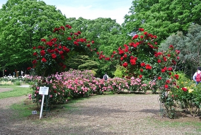 フラワーランドの様子