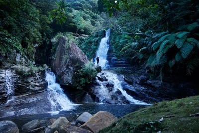 fiEwGRYCABZ17GzQ9nFd.jpg?w=940&h=940