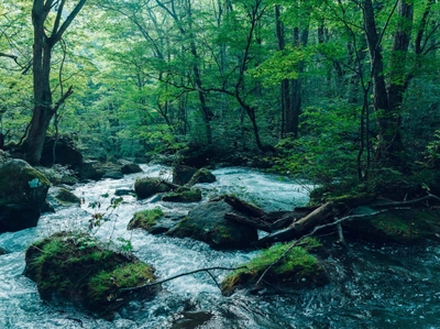 fibrpFG65ijQWOS5iemD.jpg?w=940&h=940