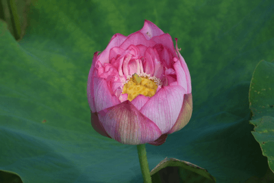 fjYT0rYe0BbJ2Et1hZMO.gif?w=940&h=940