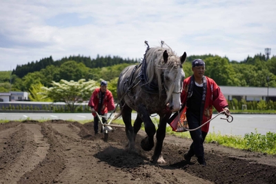 fjbYIVCXI7AIjIqPGrTc.jpg?w=940&h=940