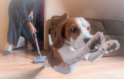 fk3Wa9UgjMp6EC8EEFt4.jpeg?w=940&h=940