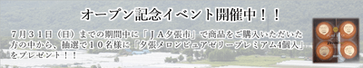 オープン記念キャンペーン