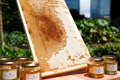 fkgyeq3Zbh0yhHRox1qF.jpg?w=940&h=940