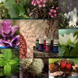 flcrL707MFZzGVSl5khH.jpg?w=940&h=940