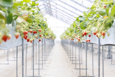 fmIOvProwDOKe7V17R7T.jpg?w=940&h=940