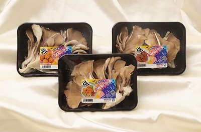 fmeCwJHjt2ytoTxybYX5.jpg?w=940&h=940