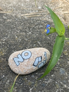 fq6eIoUhT2nhf1GzjBV7.jpg?w=940&h=940