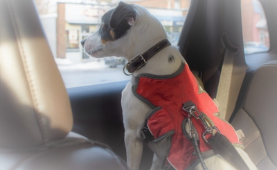 fqNyPxUYef4b7CECrTxu.jpeg?w=940&h=940