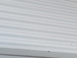 fqRjg8wDekixaFQcLvkx.jpg?w=940&h=940