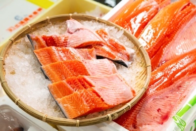 fqcYGIpLIyZV8bH2qlC8.jpg?w=940&h=940