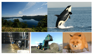 fqh3tGRrnyzTkhW3U2ps.png?w=940&h=940