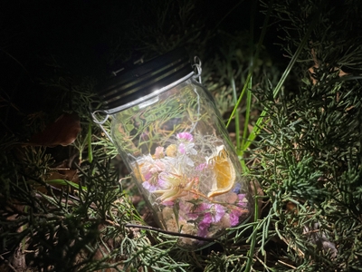 frE9qb0kwqBI7K6qT4mC.jpg?w=940&h=940