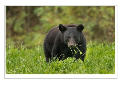 frItxWGVCzbPIMIXB7VA.jpg?w=940&h=940