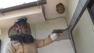 fsT2mUe5KaTGklaef7cs.png?w=940&h=940