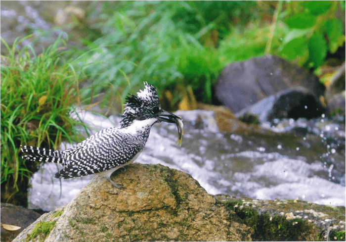 フォトコンテスト2023一般部門グランプリ作品