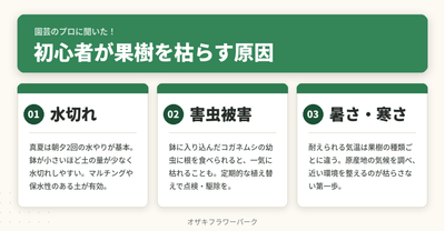 ftHblv5OKkBnNPNdW7ji.png?w=940&h=940