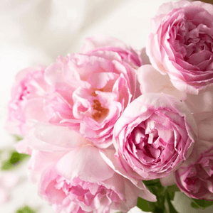 ftlujsMllyQ6AIcEHIaP.png?w=940&h=940