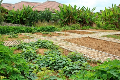 ftpyWIYunrA9cio6NRJP.jpg?w=940&h=940