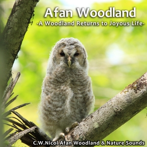 fvLon1teEACDmnY0YcF1.jpg?w=940&h=940