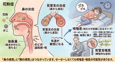 fvY4fg41jXfq3tXT6zuo.png?w=940&h=940