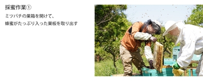 fwUxfS81mmxHk2WjLr02.jpg?w=940&h=940