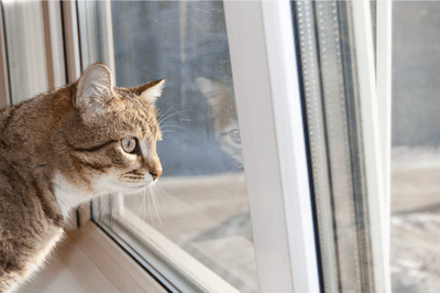 fyYzRaKj4Me4yp0LYqmw.png?w=940&h=940