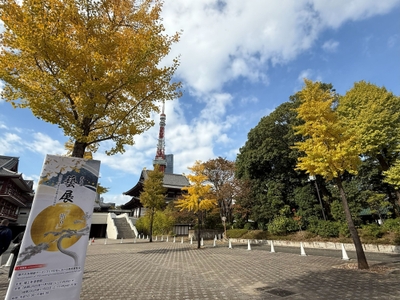 fzVash04cpmTXa1VGznG.jpg?w=940&h=940