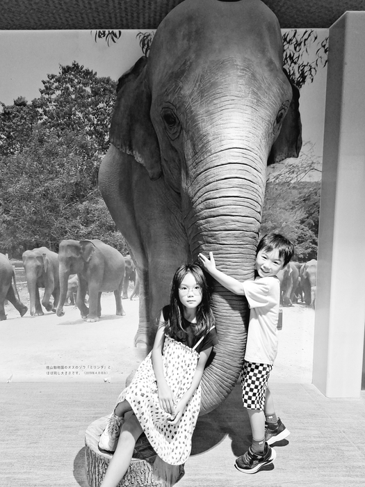 タイトル「ぼくのご近所さん」(投稿者:@konekonoe)