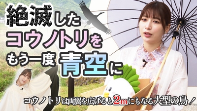 g016pM8pN7kcRwIWfHvk.jpg?w=940&h=940