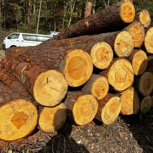 g0BAB9gFIg59kh5f0JQf.jpg?w=940&h=940