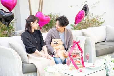 g12sIvoPp8xidodgRDv1.jpg?w=940&h=940