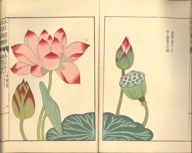 g1BOMMhRAgmDc9p66cJn.jpg?w=940&h=940