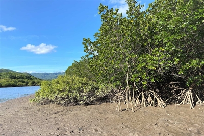 g1ilNQjZwfsEH4rzl5SF.jpg?w=940&h=940