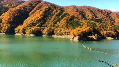 g2jK2HRABvuP5gUffp2v.jpg?w=940&h=940