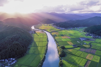 g2q76FjBYdVX7Y4Ls0VA.jpg?w=940&h=940