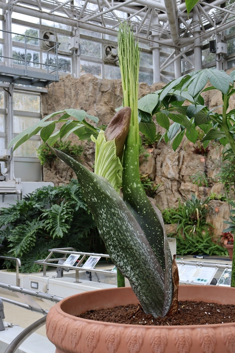 2022年11月29日撮影