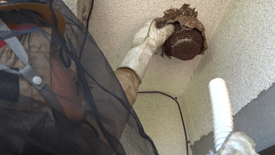 g6a1y6KObW17xmla5TVp.png?w=940&h=940