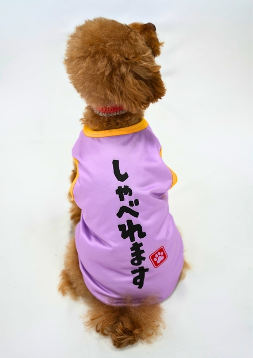 カプセルトイ「うちの子かわいい！ドッグウェア」モデル犬着用イメージ