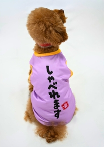 カプセルトイ「うちの子かわいい！ドッグウェア」モデル犬着用イメージ