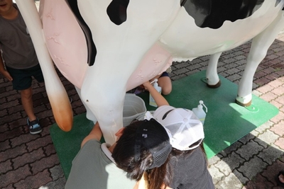 g7IRphM9eQwE8g64ukfA.jpeg?w=940&h=940