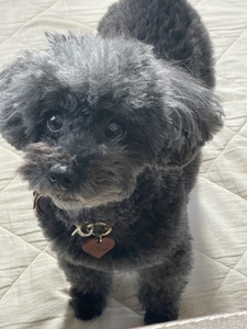 g7amgZbWQR7suPTpNi8Y.jpeg?w=940&h=940