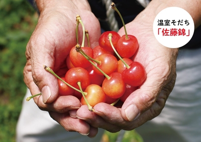 gA9BMrYUy6MXuqaIHEV3.jpg?w=940&h=940