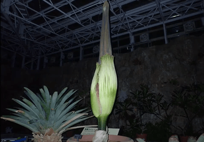 gB3IDKbaNFF3QKKv2fE9.png?w=940&h=940