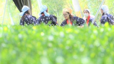 gC6mohp1NvXcxxSLQk5N.jpg?w=940&h=940