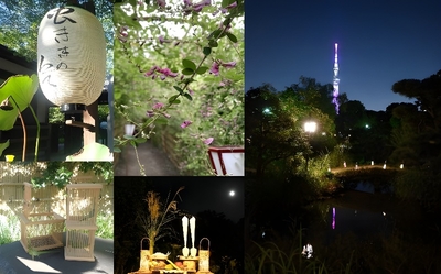 gCVd3GJW8jZPYScw7cLQ.jpeg?w=940&h=940