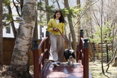 中庭ドッグラン