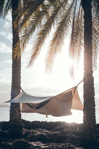 gCuZ3Bp7Sv6VLMJLjYe7.jpeg?w=940&h=940