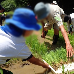 gDFUERaDcCXaTNEzQcap.jpg?w=940&h=940